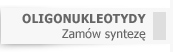 synteza oligonulkeotyd�w
