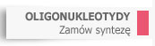 synteza oligonulkeotyd�w
